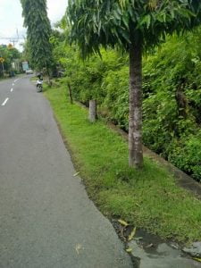 Dijual Tanah di Jalan Utama Pererenan Canggu Bali