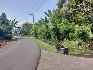 Dijual Tanah Jalan Raya Pantai Kedungu