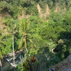 Dijual Tanah Pinggir Tebing Sungai di Masceti