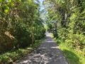 Dijual Tanah di Batubulan Sukawati belakang Bali Bird park (1)