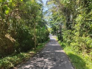 Dijual Tanah di Batubulan Sukawati belakang Bali Bird park (1)