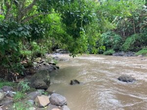 Dijual Tanah di Buwit Los Sungai Sanggat Indah dan Asri