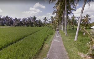 Dijual Tanah di Abian Tuwung jalan lakasamana Kediri Tabanan