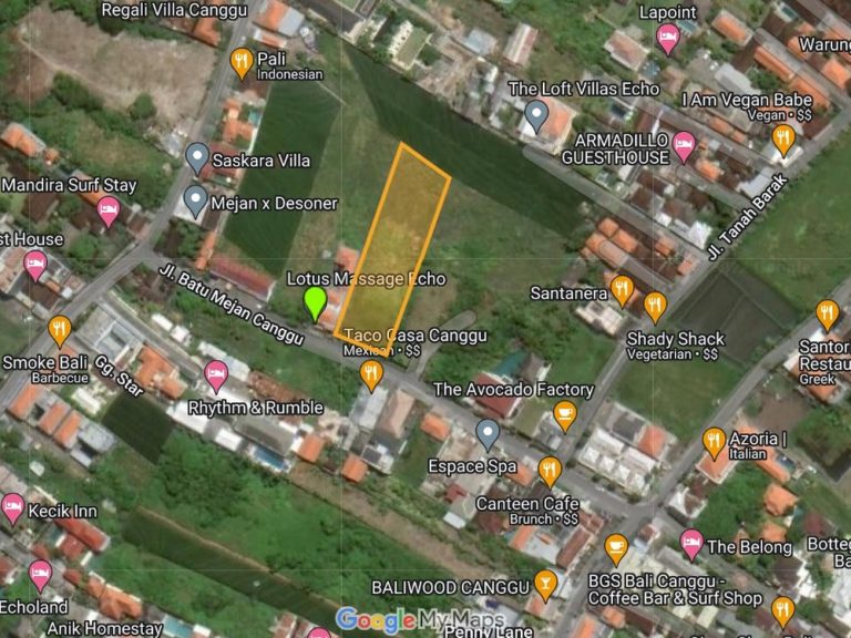 Dijual Tanah di Batu Mejan Canggu 27,5 Are (2)