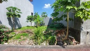 Dijual Tanah di Jalan Raya Semat Gang Jalak Berawa