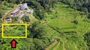 Dijual Tanah di Tegallalang Sebatu Ubud