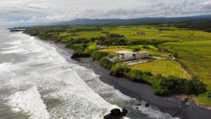 Jual Tanah Los Pantai Beraban Tabanan