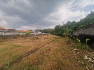 Jual Tanah Padang Linjong Canggu (1)