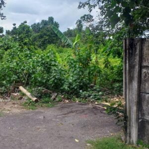 Jual Tanah Umalas Klecung