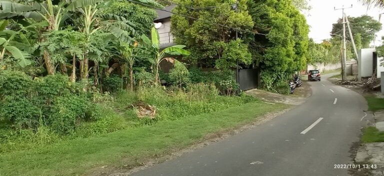 Tanah Babakan Canggu Jalan Pura Warung