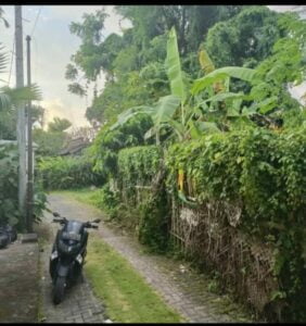 Tanah Babakan Villa Neo