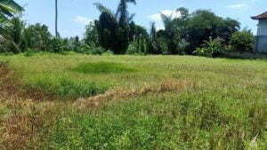 Jual Tanah Sakah Sukawati