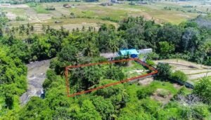 Dijual Tanah Pantai Nyanyi Beraban