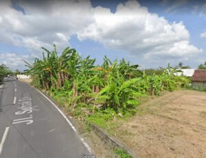 Dijual Tanah di Canggu Jalan Subak Daksina Tibubeneng