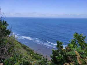 dijual tanah pinggir tebing pecatu