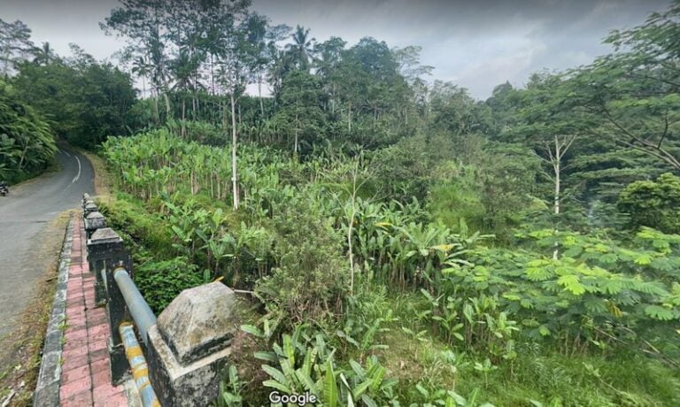 Tanah Dijual di Bukian Payangan Taro