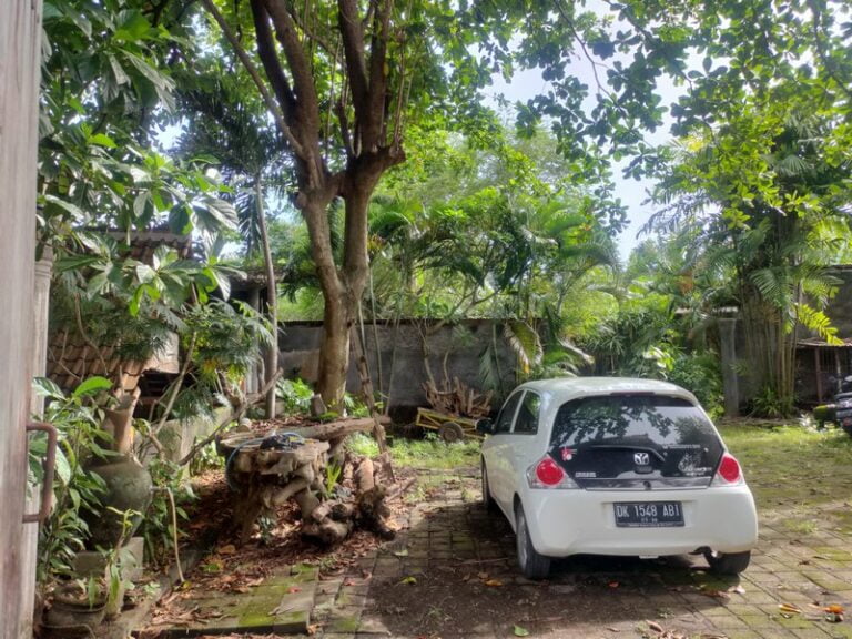 Tanah Dijual di Kerobokan Merta Sari