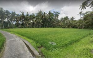 Tanah Dijual di Mawang Lodtunduh Ubud