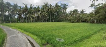 Tanah Dijual di Mawang Lodtunduh Ubud