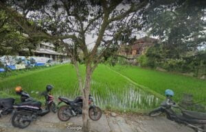 Dijual Tanah di Jalan Raya Mas Ubud