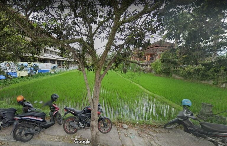 Dijual Tanah di Jalan Raya Mas Ubud
