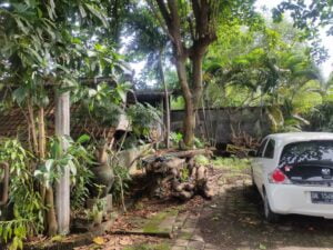 Land For Sale Leasehold in Kerobokan