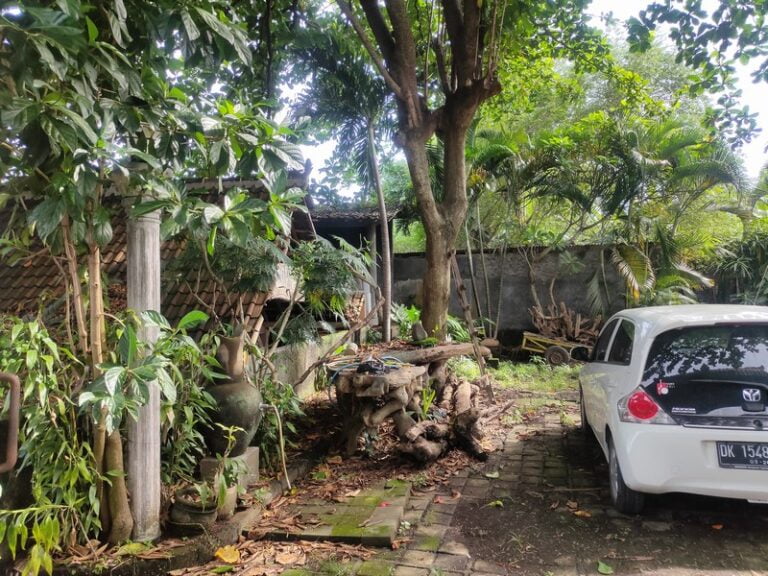 Land For Sale Leasehold in Kerobokan