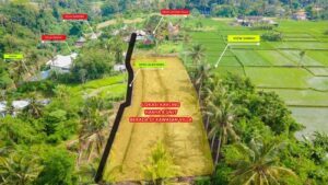 Dijual Tanah Jalan Bhisma Lodtunduh Ubud