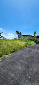 Dijual Tanah di Seseh 200 Meter Dari Pantai