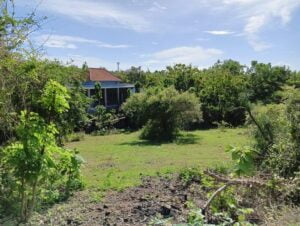 Land for Rent on Buana Sari Street Bingin Pecatu