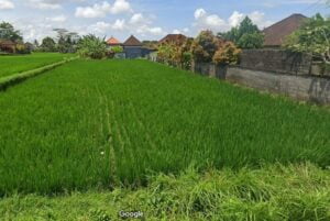 Tanah Katik Lantang Singakerta