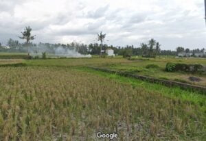 Tanah Tengkulak Kemenuh Sukawati