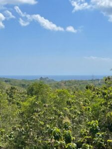 Dijual Tanah Pendem Pecatu View laut yang indah