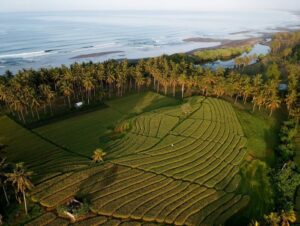 Dijual Tanah Pinggir Pantai Mekayu Tabanan