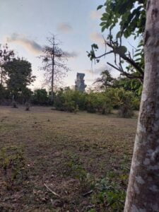 Dijual Tanah Jalan Merak Ungasan