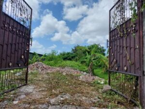Dijual Tanah di Jalan Raya Padonan Tibubeneng Canggu Utara