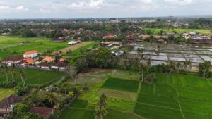 Tanah di Kemenuh Ubud Dijual (5)