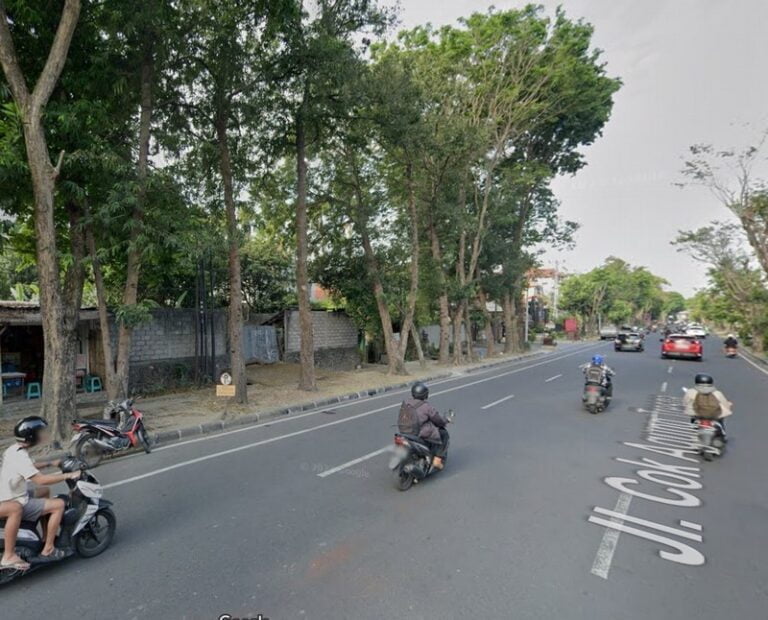 jual tanah pinggir jalan cok agung tresna renon
