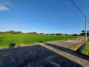 Dijual Tanah di Kedungu Tabanan