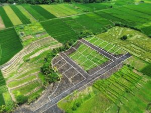 tanah kavling dijual di kedungu