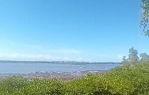 Dijual Tanah Pinggir Laut Benoa Nusa Dua Jalan Bulakan Sari