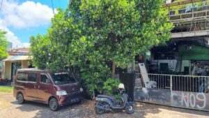 Dijual Tanah Tukad Badung XVI Renon Dekat Kampus Primakara