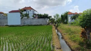 Dijual Tanah Tukad Badung XXVI Renon