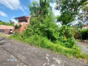 Jual Tanah Semat Berawa Canggu View Sungai dan Sawah
