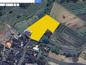 Dijual Tanah Jalan Raya Tumbak Bayuh 11,6 Are