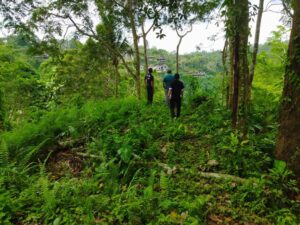 Jual Tanah Begawan Giri Payangan Ubud