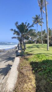 Jual Tanah pinggir Pantai Cemagi Mengening