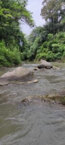Jual Tanah Mawang Lodtunduh Ubud