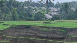 Jual Tanah di Kendran Tegallalang Ubud
