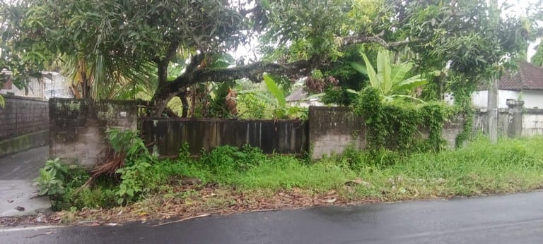 Dijual Tanah di Jalan Kelusu Pejeng Ubud